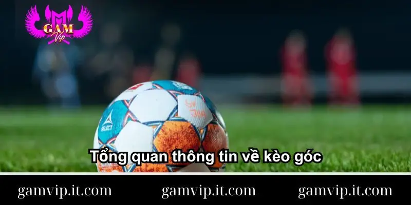 tong-quan-thong-tin-ve-keo-goc
